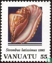 Shells