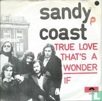 True Love That's a Wonder