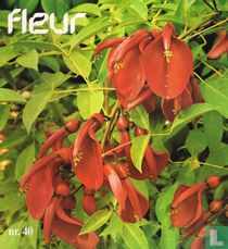 Fleur 40