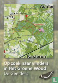 Op zoek naar vlinders in het Groene Woud - De Geelders