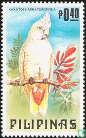 Parrots
