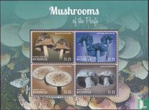 Champignons   