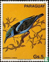 Oiseaux    