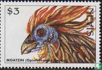 Gefährdete Arten