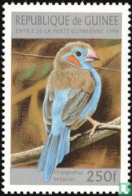 Oiseaux acheter