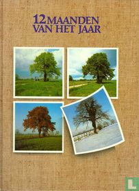 12 maanden van het jaar