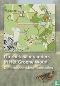 Op zoek naar vlinders in het Groene Woud - Dommelbeemden/Moerkuilen