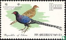 Oiseaux     
