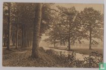 Landschap