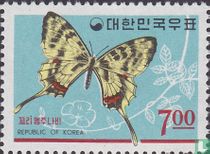 Insectes 