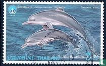 Dauphins