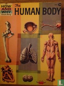 The Human Body