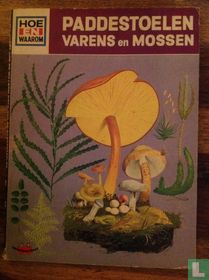 Paddestoelen varens en mossen