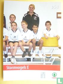 Teamfoto Stormvogels E (rechts)