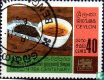 100 Year tea industry