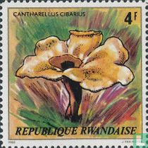Champignons