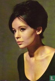 Petit, Pascale 