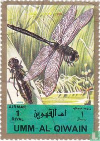 Insects