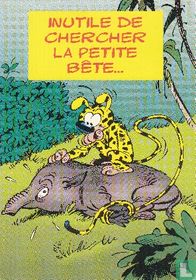 Inutile de chercher la petite bête ...
