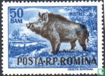 Jagdbare Tiere