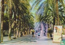 Palma. Mallorca