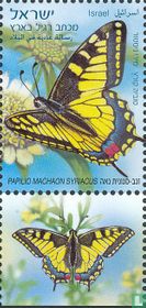 Swallowtail