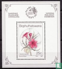 Fleurs sauvages
