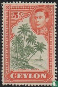 Coconut palms 