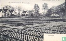 Hyacinthenveld te Heemstede