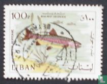 Poissons 