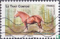 Chevaux française acheter