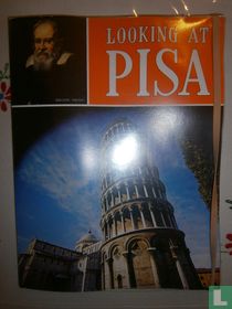 Looking at Pisa