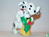 Dalmatiër 