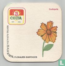 Coréopsis