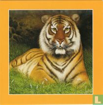 Liggende tijger