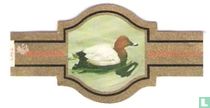 Birds in the nature reserve Het Zwin SS cigar labels catalogue