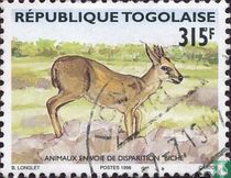 Antilope