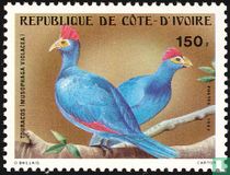 Oiseaux  