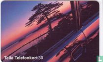 Telefonskortbilden