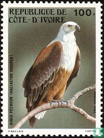 Oiseaux 