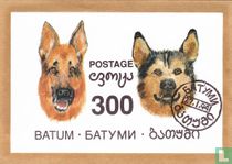 Dogs