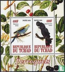 Perroquets
