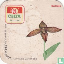 Orchidée