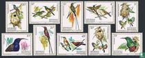 Oiseaux      