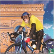 Tour de Chimp (010590)