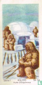 Igloo Hutte d'Esquimaux