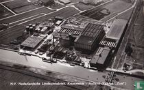 N.V. Nederlandse Linoleumfabriek, Krommenie