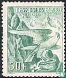 Jeux d'hiver de Sokol