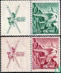 Jeux d'hiver de Sokol