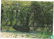 Green bicycle (AU 0088)